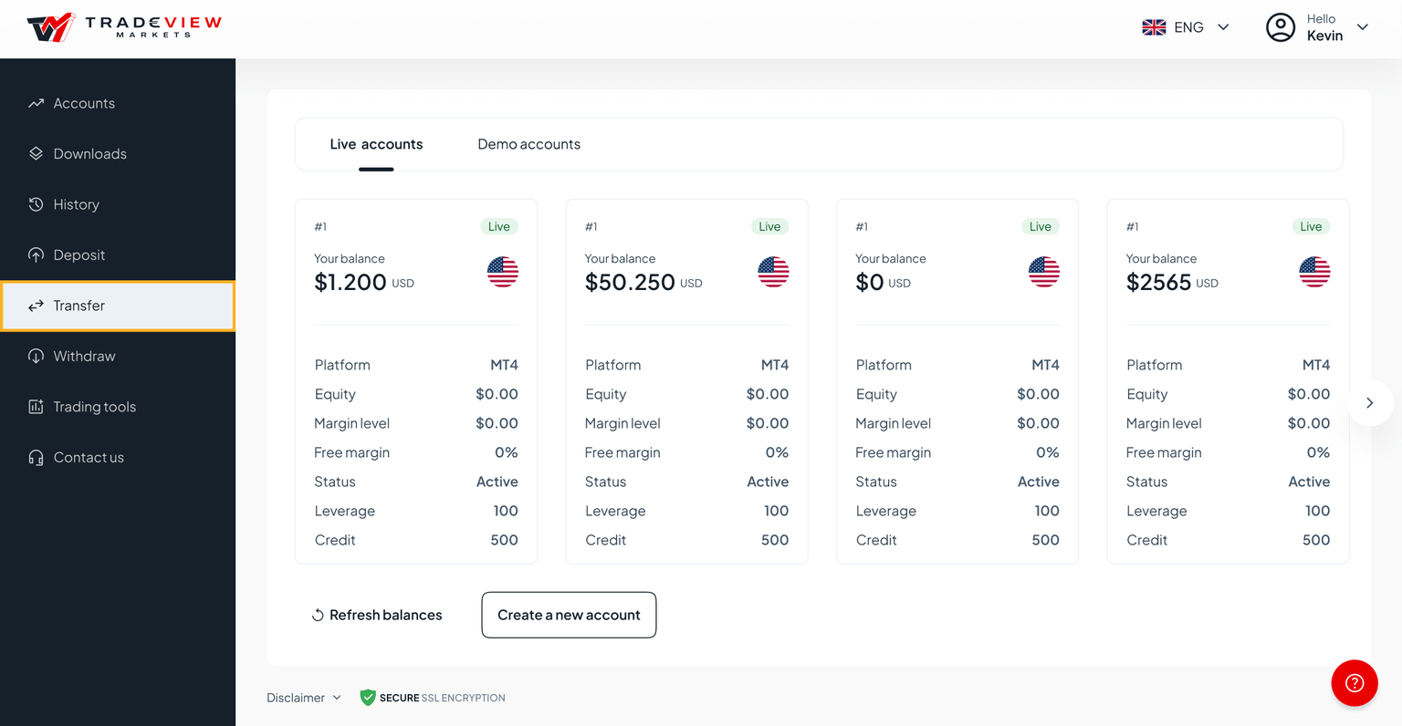 Click on the Transfer section on the left menu of your screen